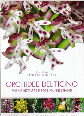 Orchidee del Ticino - forme bizzarre e profumi inebrianti
