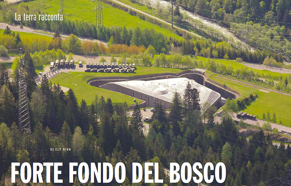 Forte fondo del bosco