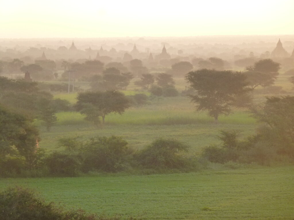 Bagan 2014